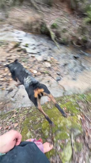 unicornrainbowkittyfarts (@unicornrainbowkittyfarts)’s videos with original sound - Universal Pictures