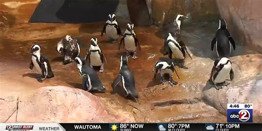 Timeout magazine ranked NEW Zoo among best zoos to visit in the country