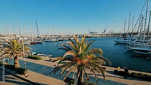 Port with yachts, berth of ships. Parked yachts near the piers of the marina. A view of the parking lot of boats, ships, yachts through a palm tree on the background of a blue sky.