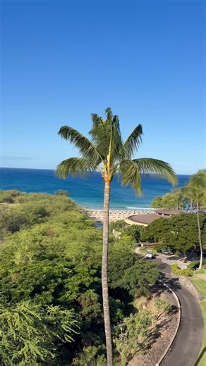 Dr. Stephan Poulter, PhD on Instagram: "Gentlemen, I know a lot of you are alone, feel alone and don't want to be alone. We've all been there. We've all found a way to keep going. I encourage you today to reach out to somebody: say hello even though you may not feel like it or even want to do it. Taking the action will help You to feel better. Remember, we're all connected regardless of circumstances or custody arrangements, marital status, family issues at the end of the day we all go back to t