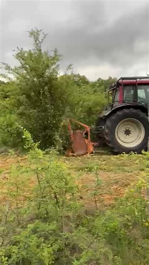 Land clearing with powerful forestry mulcher: fast and environmentally friendly. | Defrisare terenuri