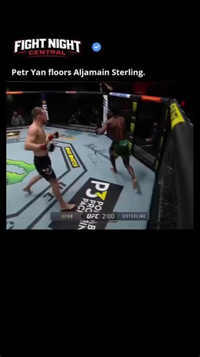 Fight Night Central | UFC | MMA | Boxing on Instagram: "Follow @fight.night.central. --- The shift in betting odds for the Petr Yan versus Merab Dvalishvili rematch highlights a fascinating dynamic in combat sports assessment – a recalibration of perceived fighter capabilities based on empirical performance data. Traditionally, odds reflect a probabilistic prediction of outcome, heavily influenced by past records and stylistic matchups. However, a significant disparity between initial expectatio