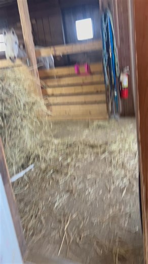 The best sound in the world. | Stable Life Inc