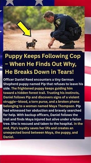 Puppy Keeps Following Cop – When He Finds Out Why, He Breaks Down in Tears!
