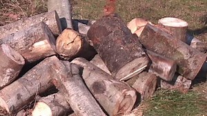 Tried and true log handling tools that don't let logs get the better of you... Norwood Portable Sawmills www.norwoodsawmills.com/log-handling | Norwood Portable Sawmills