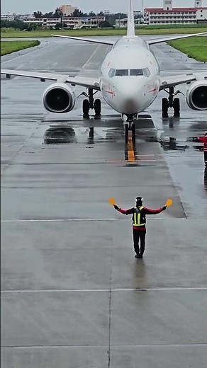 Boeing 737-800 Perfect Marshalling | No VDGS Needed