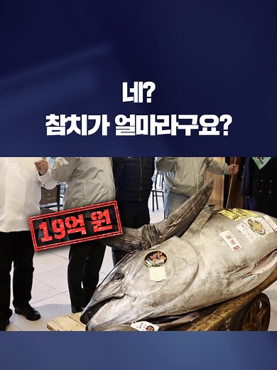 현지 시각 5일 일본 도쿄 도요스 시장에서 열린 새해 첫 참치 경매에서 2억 7백만 엔, 우리 돈으로 19억 원이 넘는 가격에 참다랑어가 낙찰됐습니다. #일본참치경매 #수산물경매 #도요스시장경매 #도쿄도요스시장 #도요스시장 #도쿄참치경매 #참치경매 #KBS #KBSNEWS