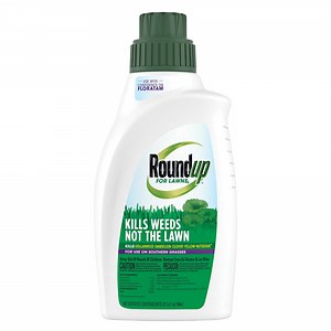 Roundup For Lawns 5 Concentrate Weed Killer for Southern Grass, 32 oz.