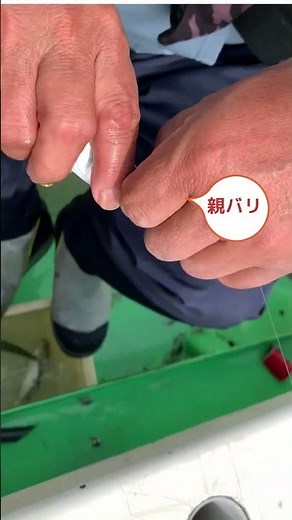 「生きイワシの泳がせ船〜マイワシのエサ付け編」です。ベイトをよく泳がせることがこの釣りの重要ポイントとなります！＃一俊丸 ＃泳がせ釣り