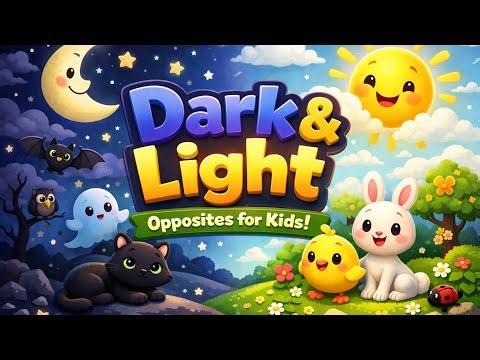 Best Learning Opposites, Dark and Light, Night and Day! | Preschool Toddler Learning Video