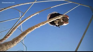 7.7K views · 23 reactions | A 21-year-old athlete from Norfolk isn’t...