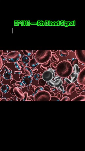 The Anything Answer on Instagram: "EP1111 — Rh Blood Signal Blood recognizes self from non-self. Rh changes how that recognition works. This isn’t emotion. It’s verification. Did you know blood does this? Watch the full episode. EP1111 — Rh Blood Signal Follow us for more. @TheAnythingAnswer For entertainment only. #immunebiology #bloodsignals #theanythinganswer #hiddenmechanisms #biologyfacts"