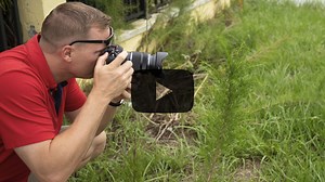 Olympus 12-100mm f/4 PRO: Sharp optics, fantastic build, great versatility