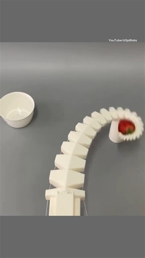 One of our top-performing posts of 2025 highlighted SpiRobs, a new type of soft robot developed by researchers at the University of Science and Technology of China, Hefei, Anhui, China The design is inspired by the logarithmic spiral patterns found in nature, including octopus tentacles and elephant trunks. Original Video Credit: YouTube/SpiRobs | ASME (American Society of Mechanical Engineers)