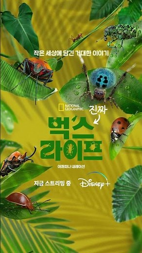 진짜 벅스 라이프ㅣ디즈니+