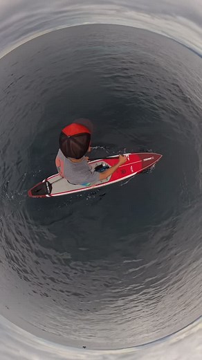 3.5K views |  Meet the blue whale — the largest animal to ever exist...