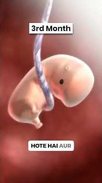 Pregnancy Me Har Mahine Bacha ki Growth kaise hoti hai ? #babydevelopment #pregnancyjourney