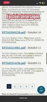 Wie findet man Epstein Unterlagen ? How to find Epstein Files? #foryou #epsteinfiles #wolrdwide