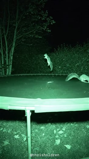 Jump around , jump around | Chris Holdren