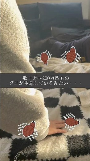 毎日使う布団には数十万～200万匹のダニがいるとか・・・ふとん乾燥機 MONAMI(モナミ) レイコップ【raycop USER'S VOICE】