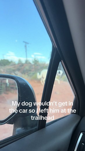 Dog Refuses to Get in Car: A Hilarious Trailhead Moment