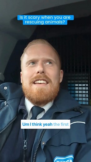 21K views · 189 reactions | Have you always wanted a career working with animals? Now's your chance, as we're recruiting for our next intake of Animal Rescue Officers across England and Wales! Our Animal Rescue Officer, David, is here to give you the inside scoop on what it's like to work on the frontline ⤵️ Ready and raring to go? Get started on your application: https://bit.ly/47BIgkH | RSPCA (England & Wales) | Facebook