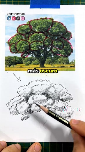 Cómo dibujar árboles de forma sencilla y realista