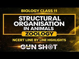 Structural Organisation in Animals One Shot | Class 11 Biology NCERT Line by Line | NEET 2026