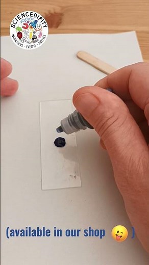 Under the Microscope - Cheek Cells