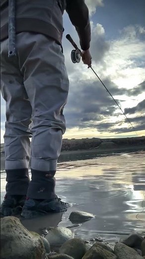 Trout Spey at the lake