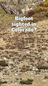 Perfect shoot | Bigfoot