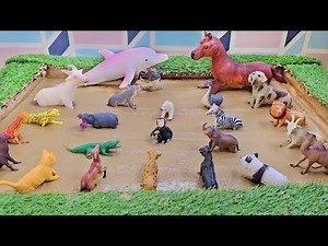 Exciting Knowledge Quests: Unlocking the World of Safari Animals and Forest Wildlife