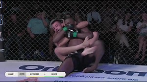 Jungle Fight on Reels