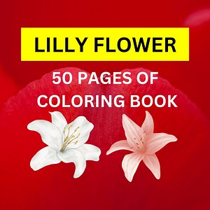 50 LILLY Flower Coloring Pages| for Kids and Adult Coloring Pages| Cute Coloring Pages| Instant Download| LILLY Flower Floral Coloring - Etsy UK