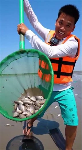 Ep. 512: Rainy Season Fishing - Catching Fish After Heavy #WildRiverPOV #NatureShorts #AnimalWorld