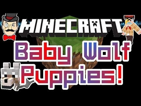 Minecraft Mods - WOLF PUPPIES Mod ! Baby Wolf Puppy - Breed with Fish !