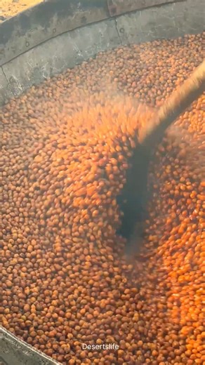 गांव के देशी लोग। #foodie #village #life #rajasthan #rural #foodlover #food | Deserts life