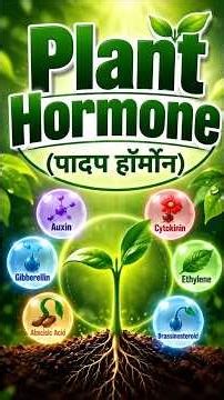🌱 Plant Hormone (पादप हॉर्मोन)
