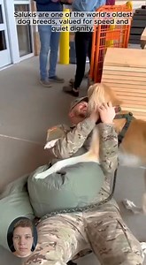 6.6K views · 247 reactions | A single call of his name turned patience into lightning ⚡ #InstantRecognition #DogSpeed #SoldierHome | Jess Funny Reels | Facebook