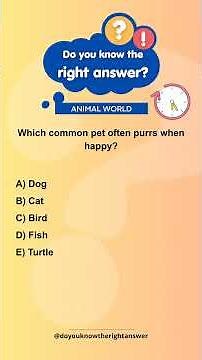 Quiz - How many legs does an insect have?