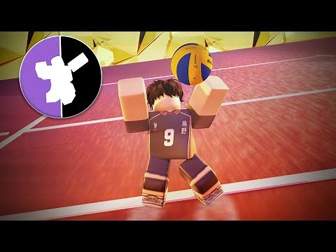 Setter Guide | Beyond Volleyball League