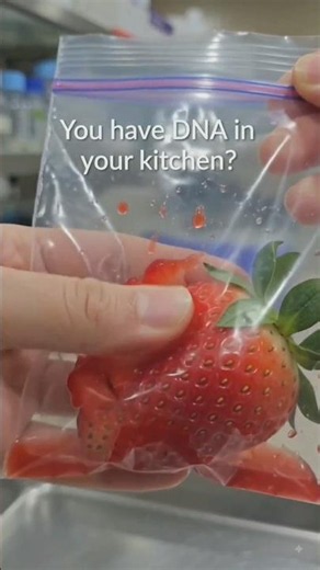 How to Extract DNA in 4 Easy Steps | Bio Lab at Home😱#dnaextraction