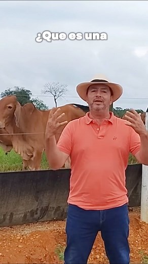 Muchas personas me preguntan: ¿qué es una dieta balanceada? En este video te lo explico de forma clara y sencilla, además de darte algunos consejos para llevar una alimentación equilibrada. | Julio Cesar Donato Molina