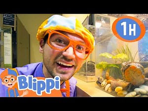 Blippi Visits Science Museums! | 1 HOUR BEST OF BLIPPI | Educational Videos for Kids | Blippi Toys