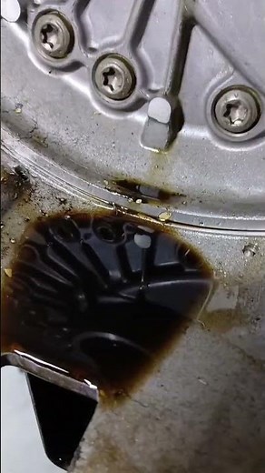 Bmw transmission oil leak common issue. How to fix it #automobile #bmw