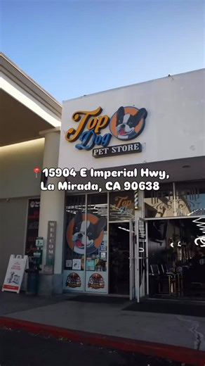 TOP DOG on Instagram: "This isn’t a regular pet store 🦴 this is TOP DOG 🐶 ✔️ Premium food & treats 🍖 ✔️ Hand-picked brands we actually trust 💟 ✔️ Knowledgeable staff 🧍‍♀️🧍‍♂️🧍 ✔️ Dogs always welcome 🐕 If your dog is family, you already know where to shop. 🛍️ 📍 La Mirada, CA 📲 Follow @topdog_petstore 🐕 Bring your pup & come see why we’re 1 👇 Comment TOP DOG if your dog deserves the best ὏