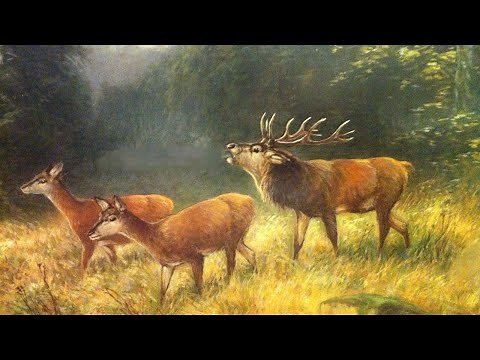 Ich schieß' den Hirsch - German hunting song