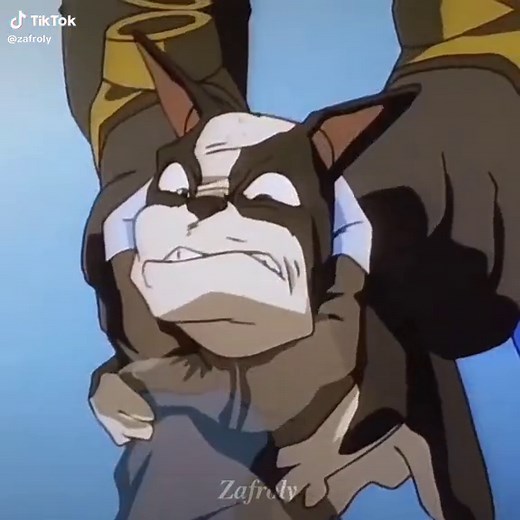 JJBA 1993 OVA Star Platinum Edit