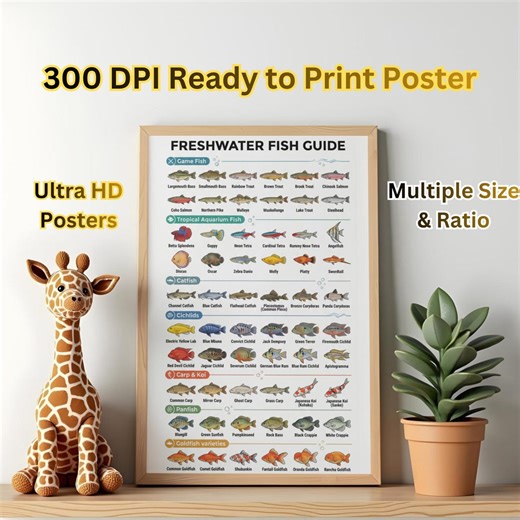 Freshwater Fish Species Poster, Fish Identification Guide, Aquarium Wall Art, Educational Print, Digital Download - Etsy UK