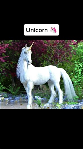 the mythical Creature Real Photos #facts #viral #youtubeshorts